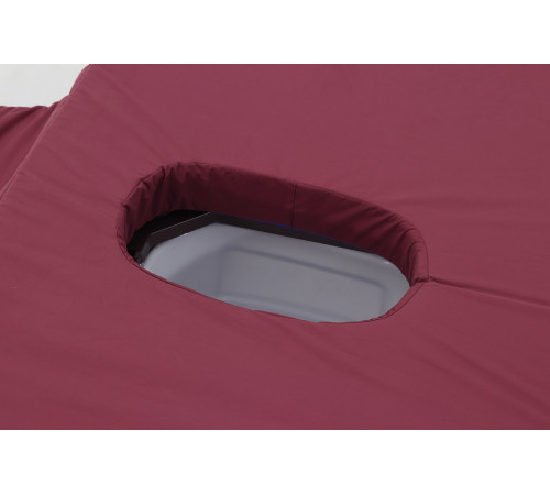 Кровать электрическая DB-11А (МЕ-5228Н-10) ЛДСП Венге с боковым переворачиванием, туалетным устройством и функцией «кардиокресло»