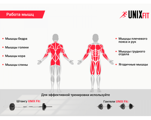 Скамья силовая со стойками UNIX Fit BENCH 120P