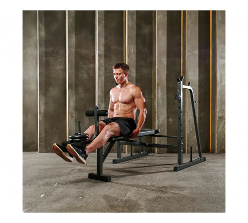 Скамья со стойками под штангу DFC D709