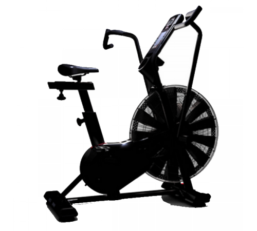 Велотренажер Schwinn Airdyne AD8