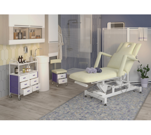 Массажный стол многофункциональный электрический Элегия-2А (МД-850), 2 мотора